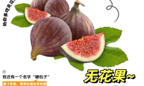 柠檬菊花泡水的正确泡法-柠檬菊花茶泡水的功效网- 柠檬菊花茶泡水的功效与禁忌知识,分享柠檬菊花茶泡水的功效与禁忌
